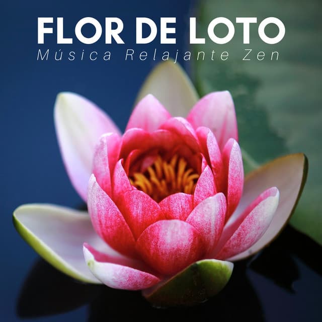 Flor de Loto: Música Relajante Zen de Meditación para la Paz y la Armonía, Antistres - Mente Abierta