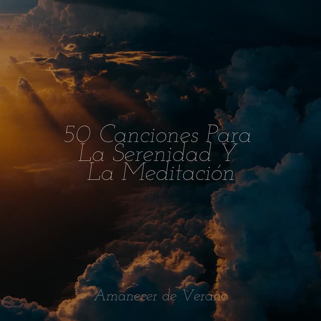 50 Canciones Para La Serenidad Y La Meditación - Sonido de lluvia