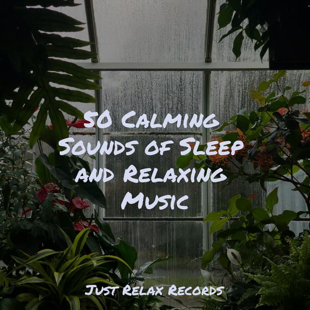 50 Calming Sounds of Sleep and Relaxing Music - Musica para Meditar