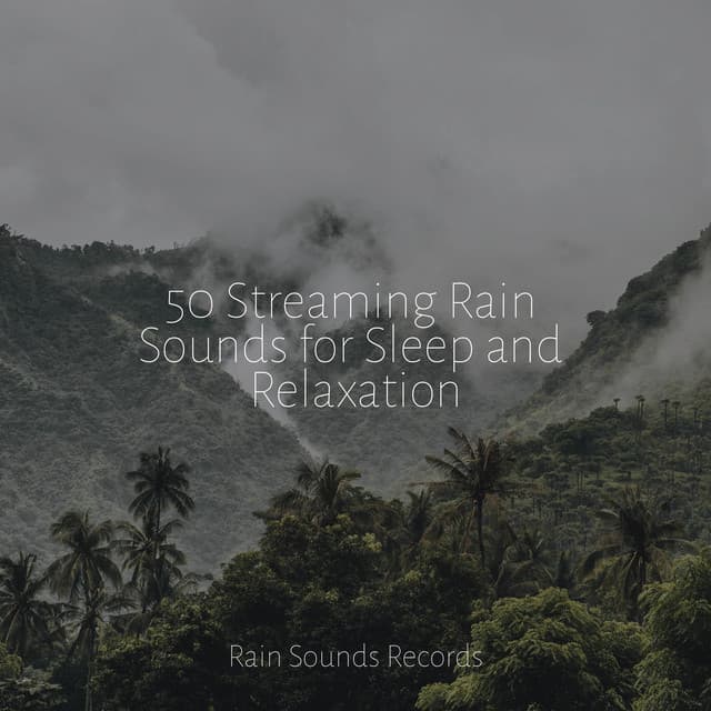 50 Streaming Rain Sounds for Sleep and Relaxation - Relaxation