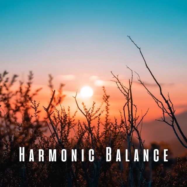 Harmonic Balance: Serene Massage with Nature and Chill Music - The Nature Project