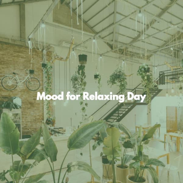 Mood for Relaxing Day - Calma