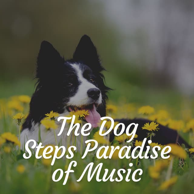 The Dog Steps Paradise of Music - Music For Dogs