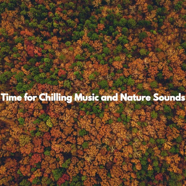 Time for Chilling Music and Nature Sounds - Música de Trabajo