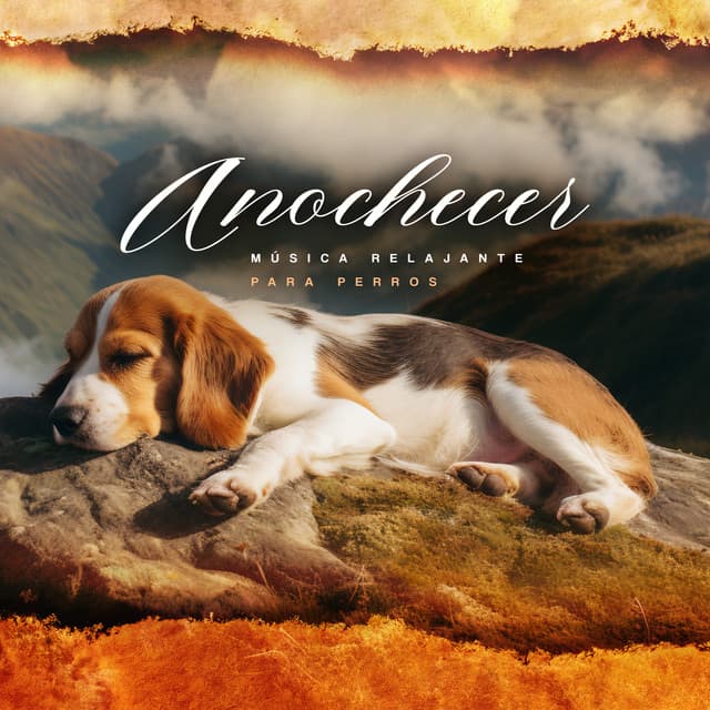 Anochecer - Música Relajante para Perros