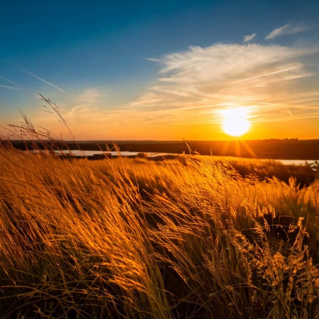 Soft Evening Sounds for Peace - Tech Guru