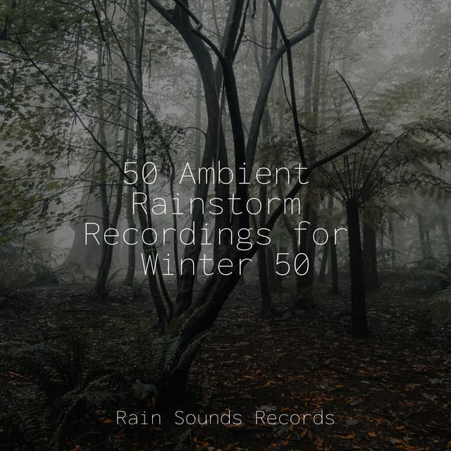 50 Ambient Rainstorm Recordings for Winter 50 - Sounds Of Nature : Thunderstorm, Rain
