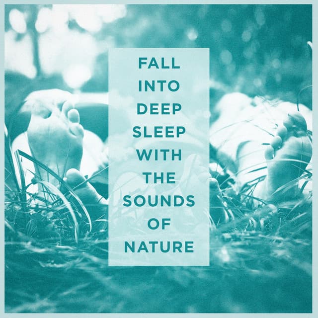 Fall Into Deep Sleep With the Sounds of Nature - Deep Sleep Meditation