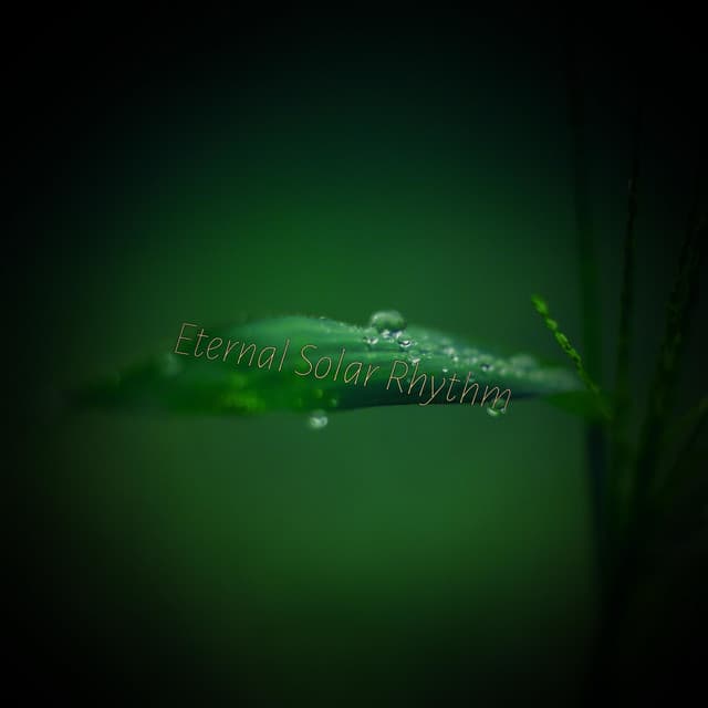 Eternal Solar Rhythm - Eon Wilder