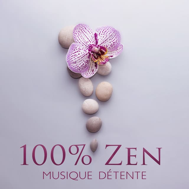 100 % Zen musique détente: Relaxante, Spa et méditation - Espace détente
