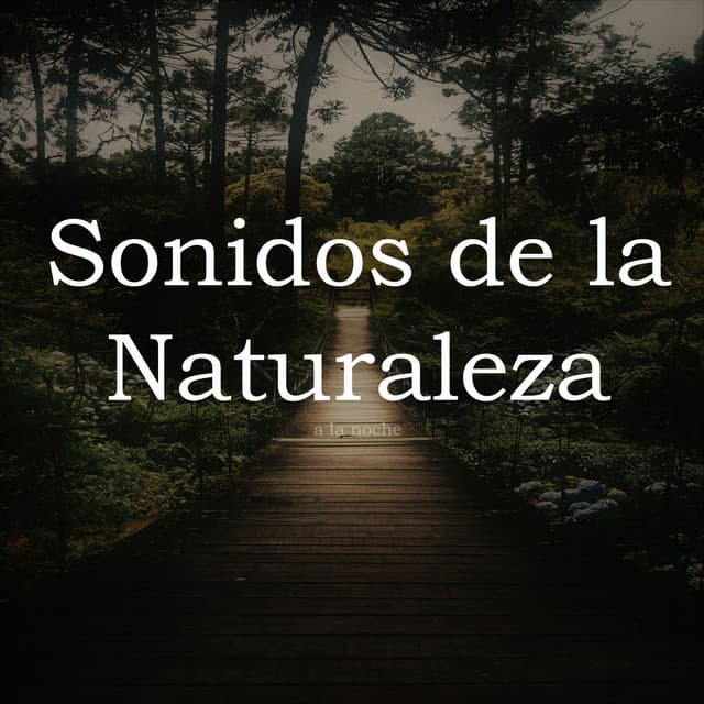 Sonidos de la Naturaleza a la Noche - Sonidos Relajantes de la Naturaleza by Beneluxa