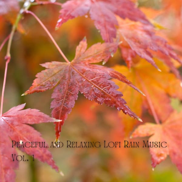 Peaceful and Relaxing Lofi Rain Music Vol. 1 - Rainforest Meditations