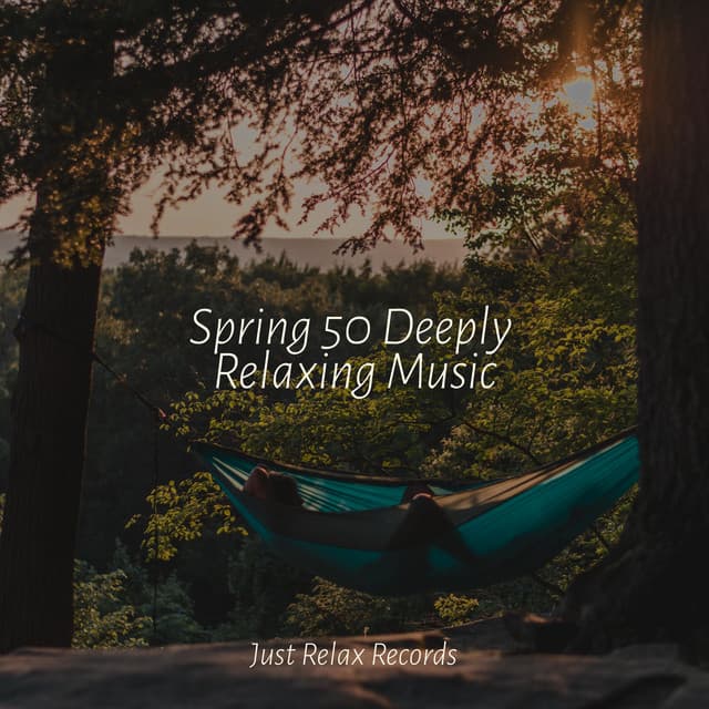 Spring 50 Deeply Relaxing Music - ASMR HD