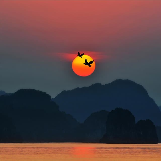 Gentleness - Heavenly Realms