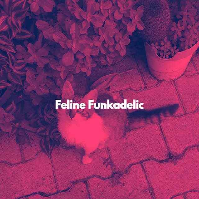 Feline Funkadelic - Cat Music Zone