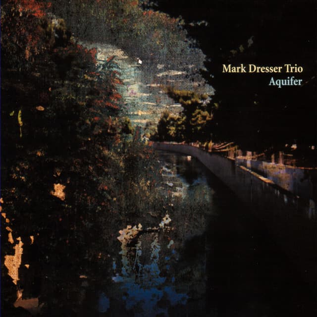 Aquifer - Mark Dresser Trio