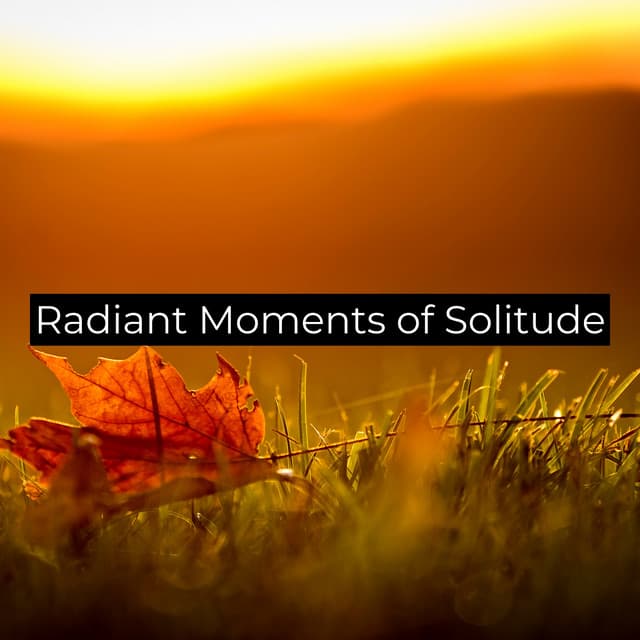 Radiant Moments of Solitude - The Dreaming Academy