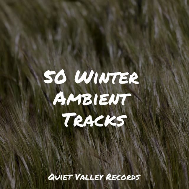 50 Winter Ambient Tracks - Massagem