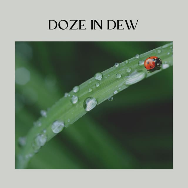 Doze in Dew - Yoga Rain