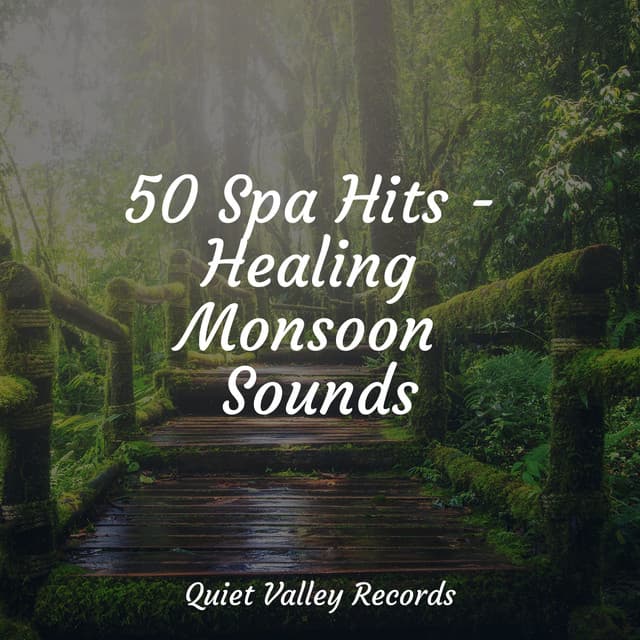 50 Spa Hits - Healing Monsoon Sounds - Rain Forest FX