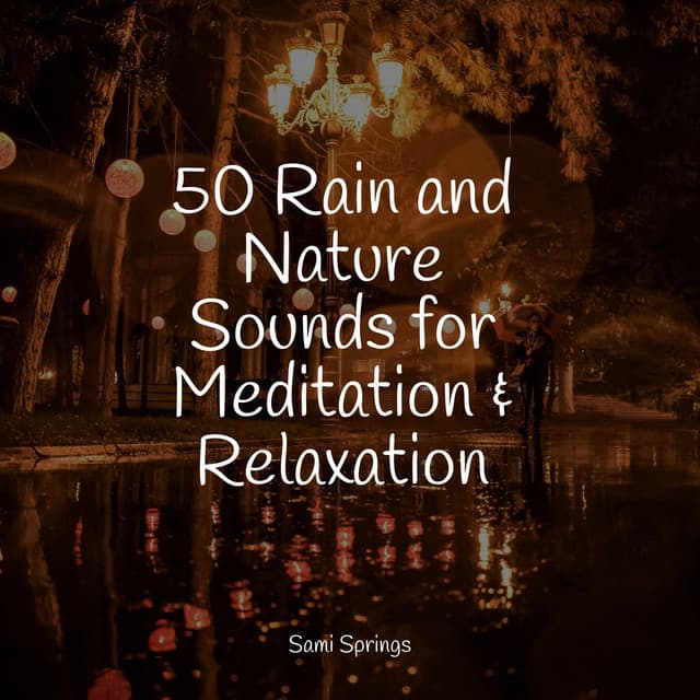 50 Rain and Nature Sounds for Meditation & Relaxation - Ambient Music Therapy