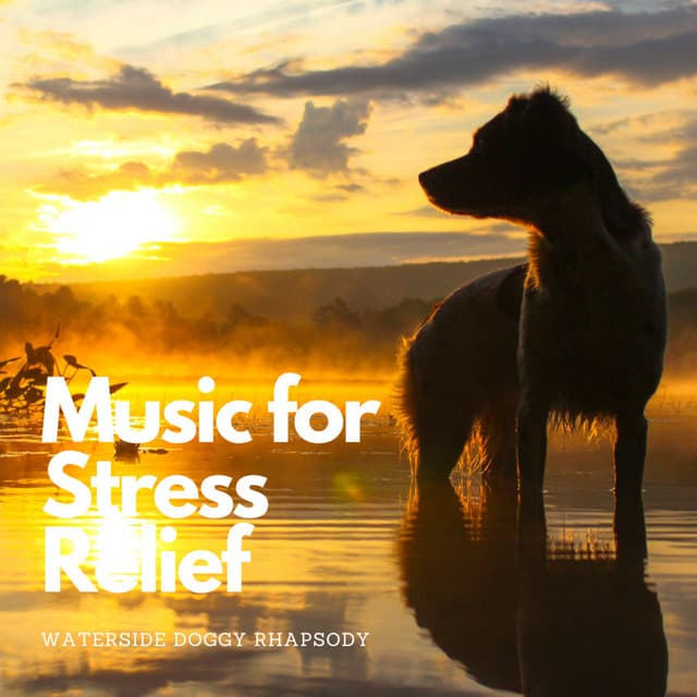 Music for Stress Relief: Waterside Doggy Rhapsody - Hidden Gems Nature