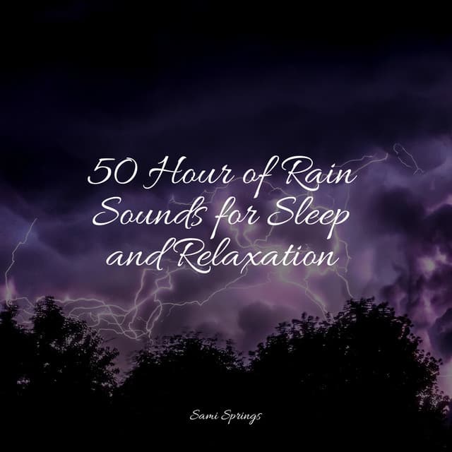 50 Hour of Rain Sounds for Sleep and Relaxation - Rain for Deep Sleep