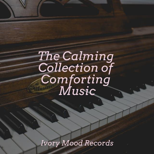 The Calming Collection of Comforting Music - Sonidos de la Naturaleza Relajacion
