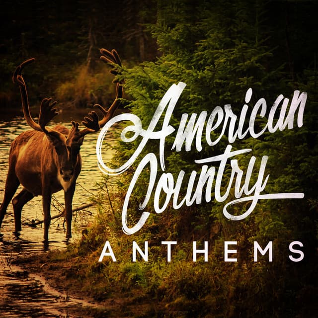 American Country Anthems - Country Rock Party