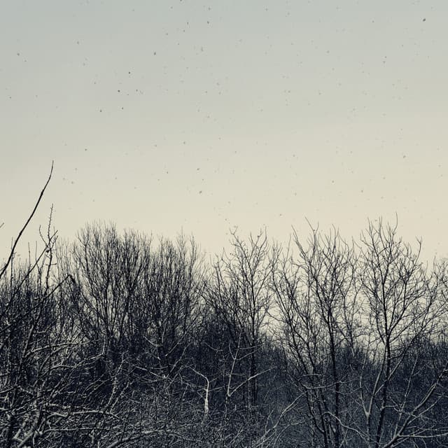 GN / Scanner - Geins't Naït