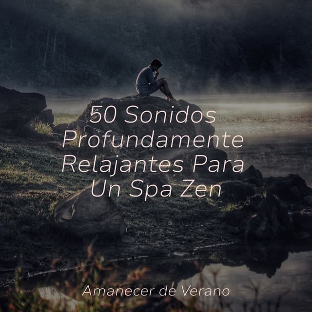 50 Sonidos Profundamente Relajantes Para Un Spa Zen - Sonidos De Truenos y Lluvia
