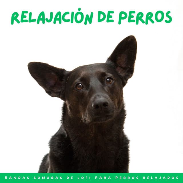 Relajación De Perros: Bandas Sonoras De Lofi Para Perros Relajados - Ritmos de hip-hop de Lofi