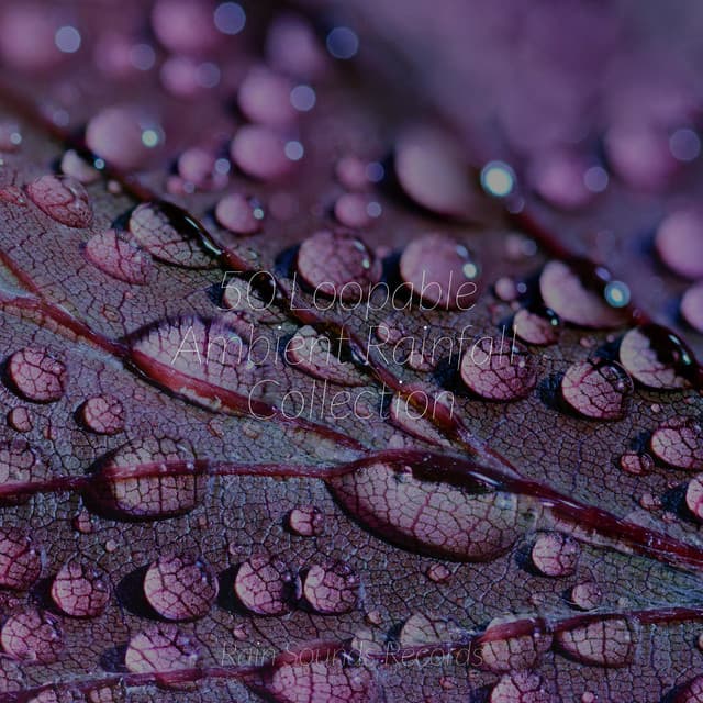 50 Loopable Ambient Rainfall Collection - Lightning, Thunder and Rain Storm