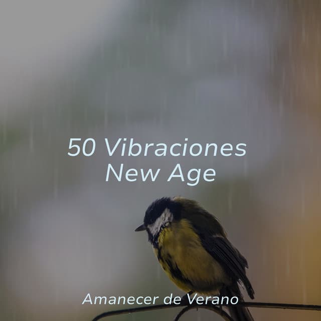 50 Vibraciones New Age - Musica romantica instrumental
