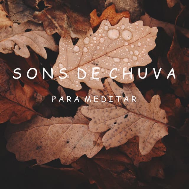 Sons de Chuva para Meditar - Meditação Música Ambiente