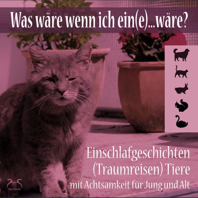 Was wäre wenn ich ein...wäre? Einschlafgeschichten  Tiere mit Achtsamkeit für Jung und Alt - Torsten Abrolat