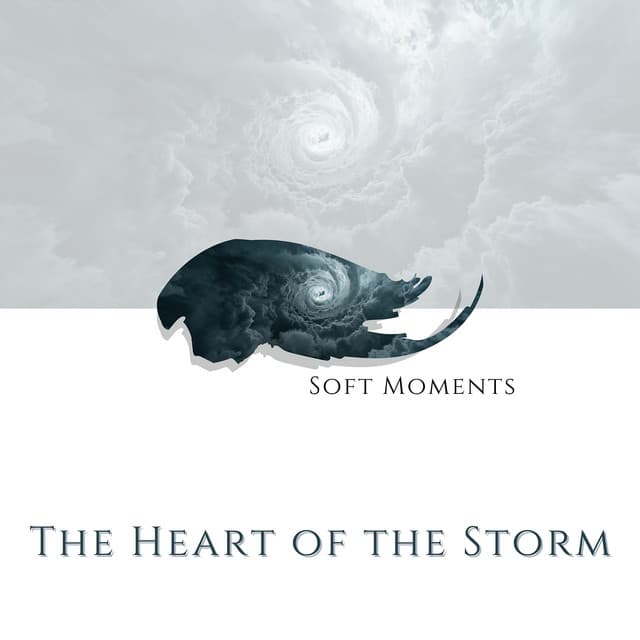 The Heart of the Storm - Soft Moments