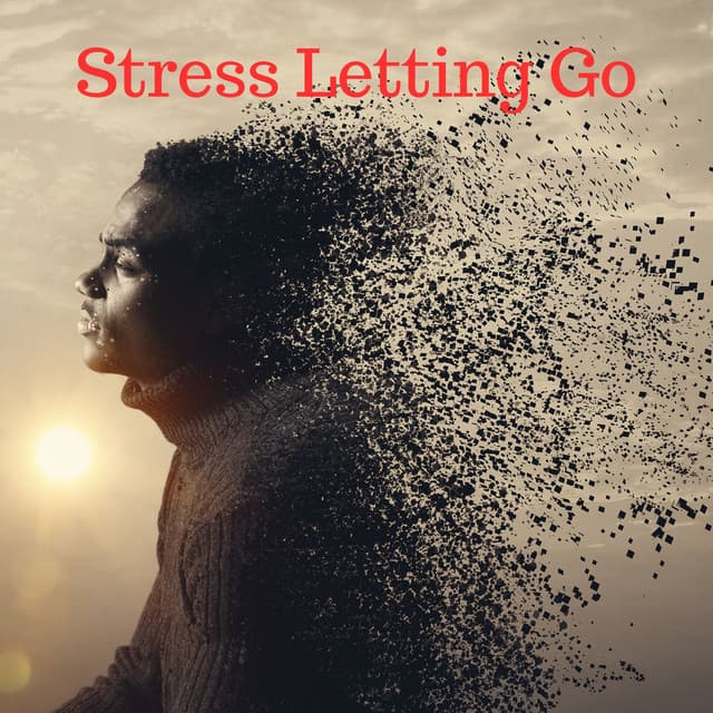 Stress Letting Go - Michael Freedom