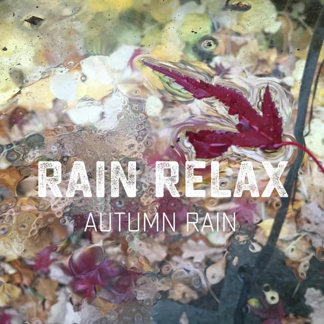 Autumn Rain - Rain relax