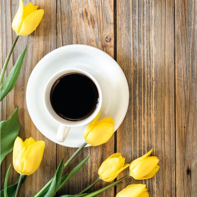 Spring Cafe - Jam Butler