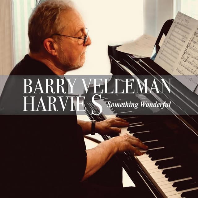 Something Wonderful - Barry Velleman