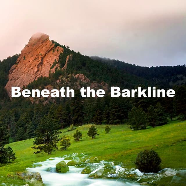 Beneath the Barkline - The Nature Soundscapes