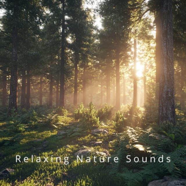 Relaxing Nature Sounds