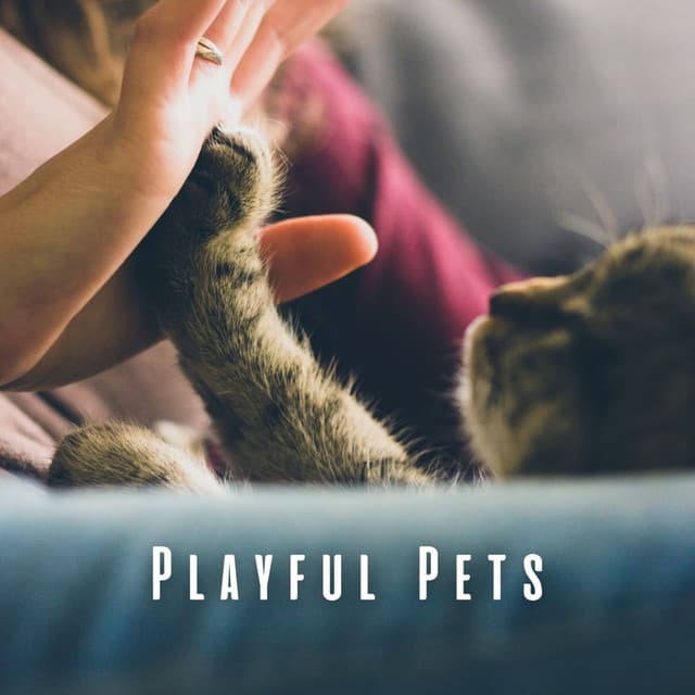 Playful Pets: Chill Music for Active Minds - Happy Playlisted Music
