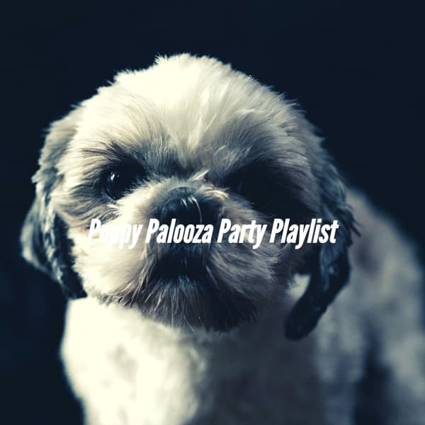 Puppy Palooza Party Playlist - Doggy Relaxing Sounds