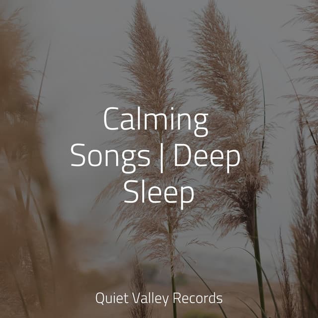 Calming Songs | Deep Sleep - White Noise Sound Garden