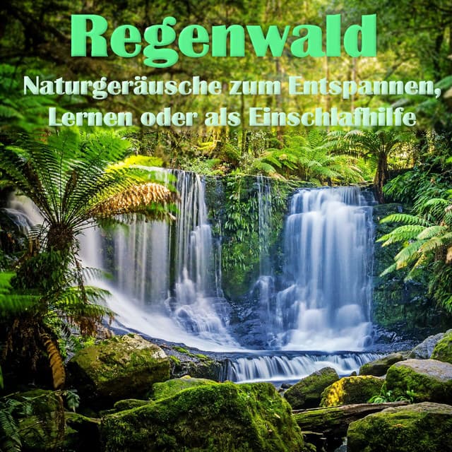 Regenwald, Naturgeräusche zum Entspannen, Lernen oder als Einschlafhilfe - Der Regenwald