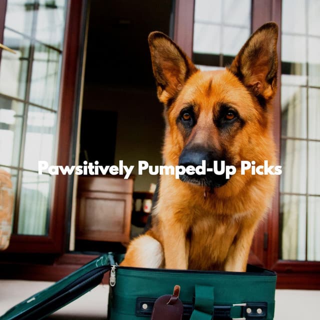 Pawsitively Pumped-Up Picks - Cafe Restaurant Music