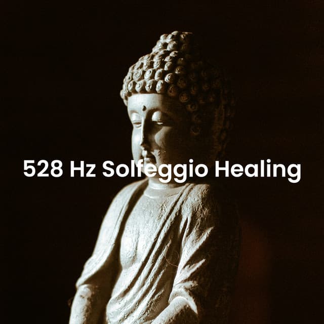 528 Hz Solfeggio Healing - Spiritual Power Control