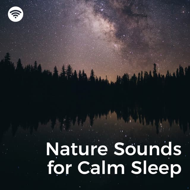Sounds of Nature White Noise for Mindfulness